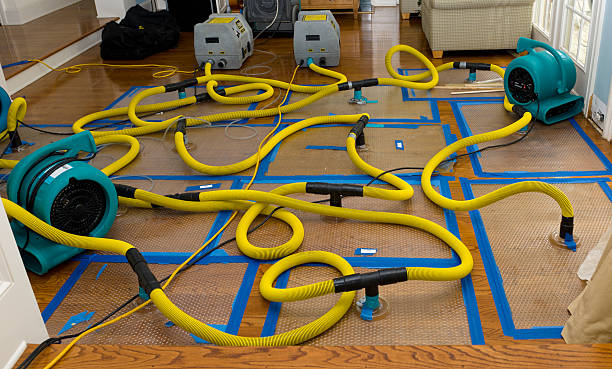 Professional Water Extraction technician working in Brightwood, OR